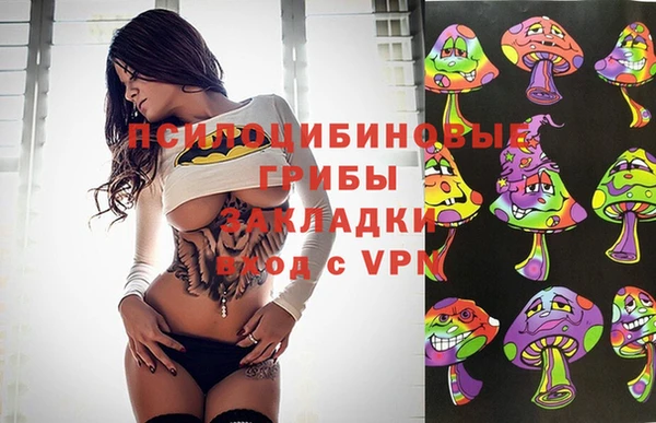 тгк Абаза