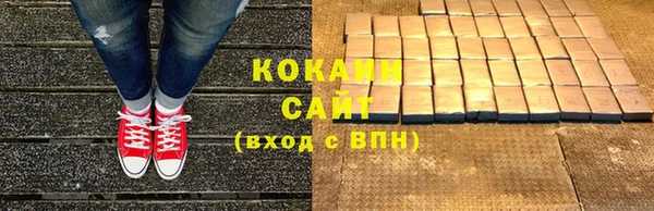 тгк Абаза
