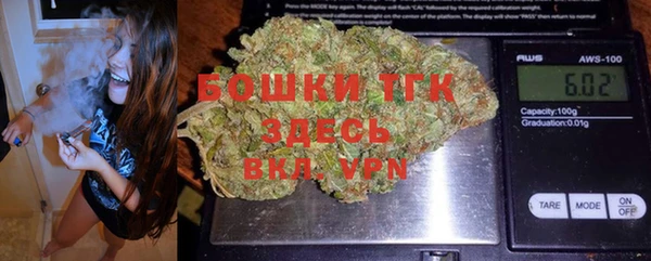 тгк Абаза