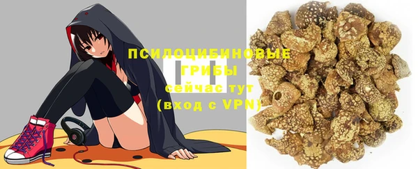 тгк Абаза