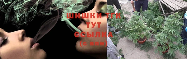 тгк Абаза